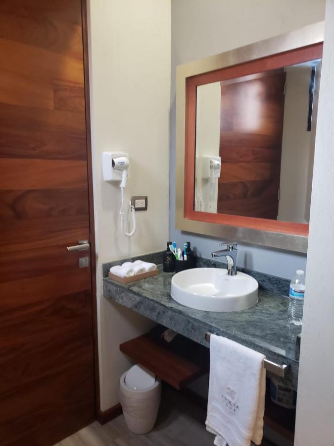 Hotel Arista 1026 San Luis Potosí Екстериор снимка